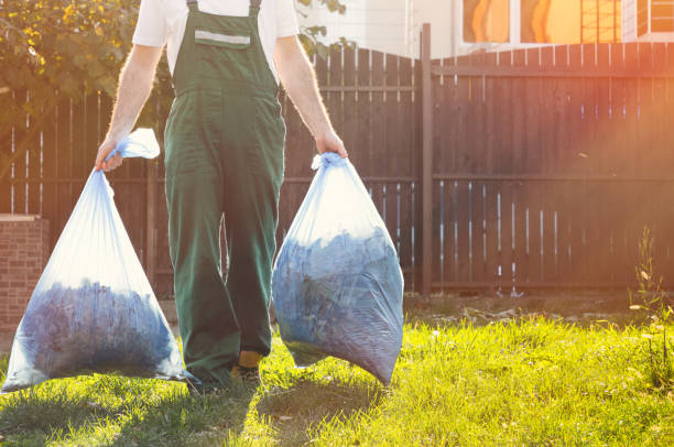Best Demolition Debris Removal  in Greenfield, IN